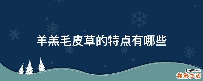 羊羔毛皮草的特点有哪些
