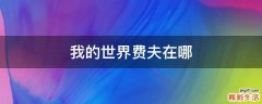我的世界费夫在哪