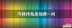 守株待兔是指哪一肖