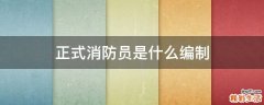 正式消防员是什么编制