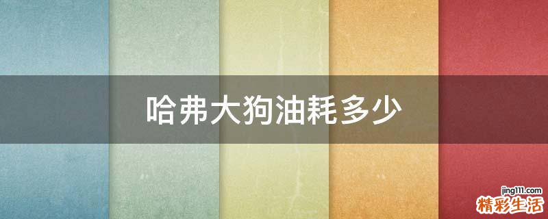 哈弗大狗油耗多少