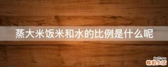 蒸大米饭米和水的比例是什么呢