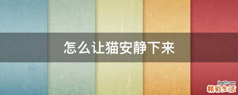 怎么让猫安静下来