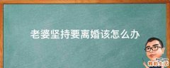 老婆坚持要离婚该怎么办