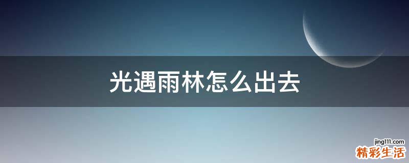 光遇雨林怎么出去