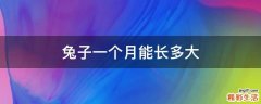 兔子一个月能长多大