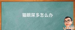猫眼屎多怎么办