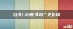羽绒和骆驼绒哪个更保暖