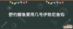野钓鲫鱼要用几号伊势尼鱼钩