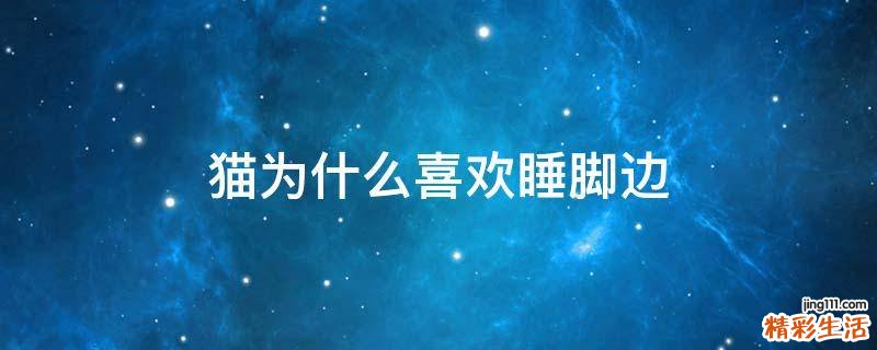 猫为什么喜欢睡脚边