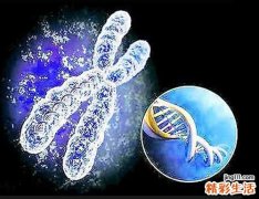 银屑病是怎么引起的