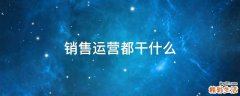销售运营都干什么