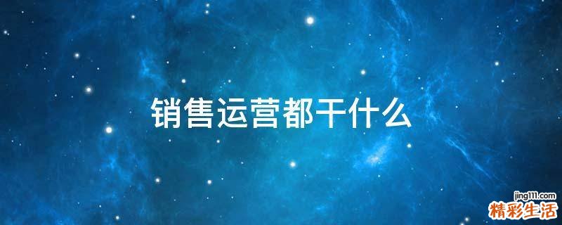 销售运营都干什么