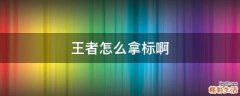 王者怎么拿标啊