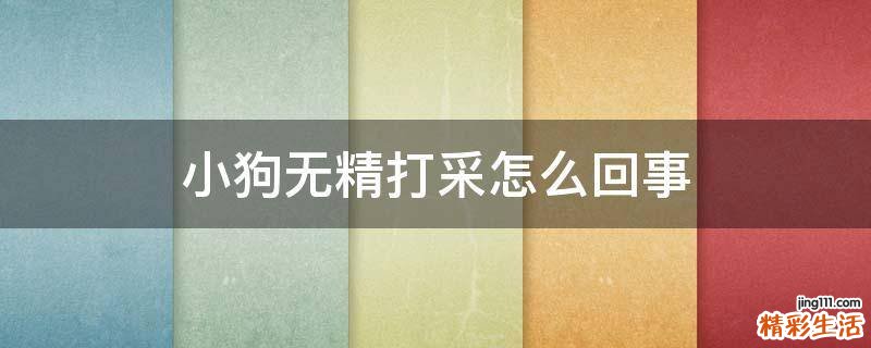 小狗无精打采怎么回事