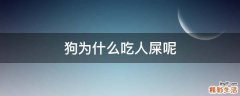 狗为什么吃人屎呢