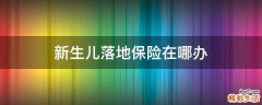 新生儿落地保险在哪办