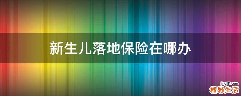 新生儿落地保险在哪办