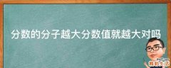分数的分子越大分数值就越大对吗