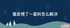 猫发情了一直叫怎么解决