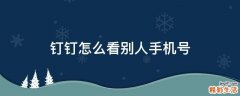 钉钉怎么看别人手机号