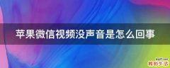 苹果微信视频没声音是怎么回事