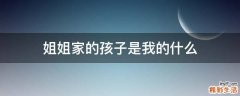姐姐家的孩子是我的什么