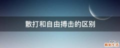 散打和自由搏击的区别