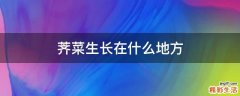 荠菜生长在什么地方