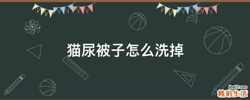 猫尿被子怎么洗掉