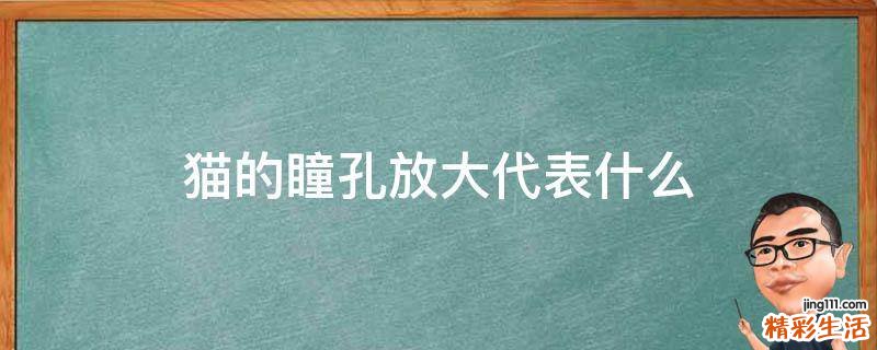 猫的瞳孔放大代表什么