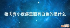 猪肉有小疙瘩里面有白色的是什么