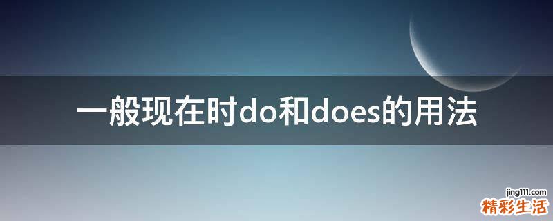 一般现在时do和does的用法