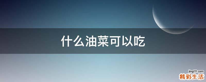 什么油菜可以吃
