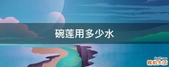 碗莲用多少水