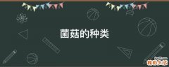 菌菇的种类