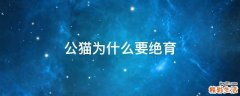 公猫为什么要绝育