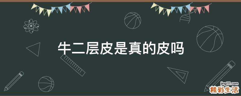 牛二层皮是真的皮吗