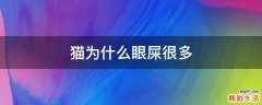 猫为什么眼屎很多