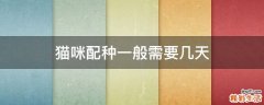 猫咪配种一般需要几天