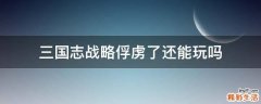 三国志战略俘虏了还能玩吗