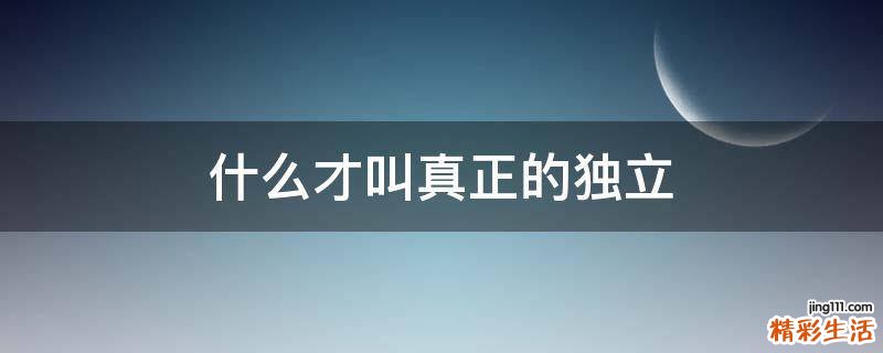 什么才叫真正的独立