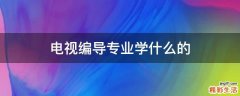 电视编导专业学什么的