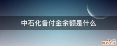 中石化备付金余额是什么