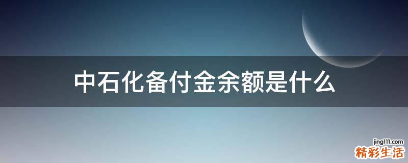 中石化备付金余额是什么