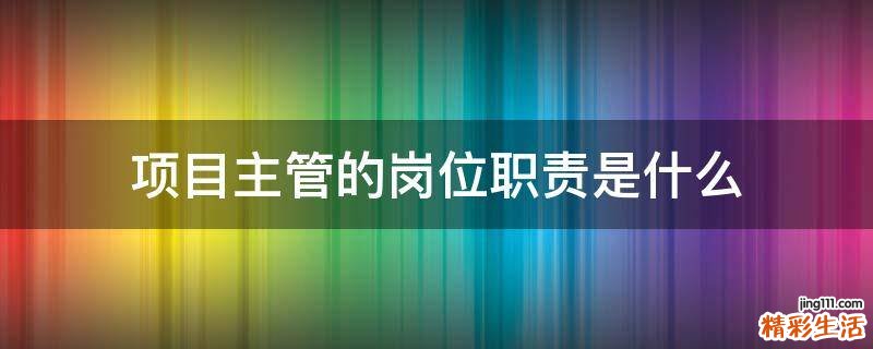 项目主管的岗位职责是什么