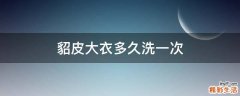 貂皮大衣多久洗一次