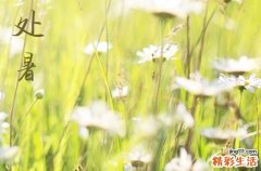 处暑节气2023是几点几分几秒钟