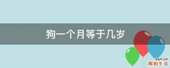 狗一个月等于几岁