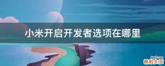 小米开启开发者选项在哪里